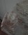 IMG_4448.jpeg