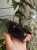 IMG_3030.jpeg
