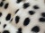 IMG_7734.jpeg