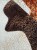 IMG_7733.jpeg